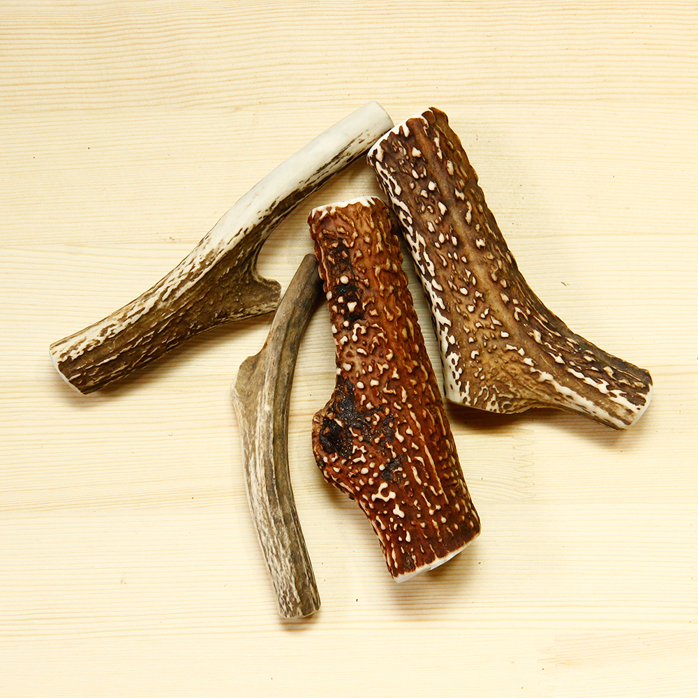 カット鹿角   野生鹿を使ったペット用手作りご飯・ジャーキーの通販サイト | やしろのめぐみ